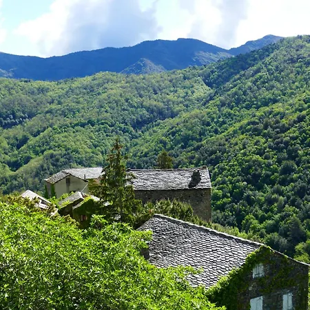 Bed and Breakfast Casa Surgente Carcheto Exterior foto